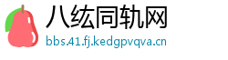 八纮同轨网